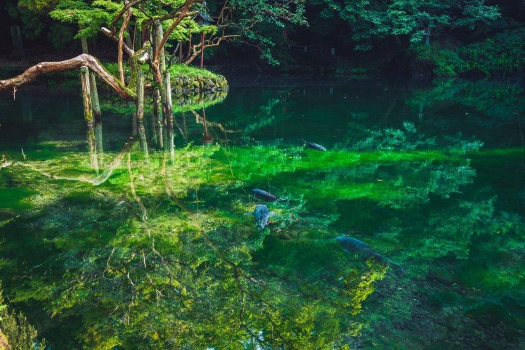 油漆墙面