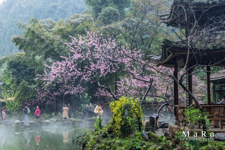 了不起的麦瑟尔夫人