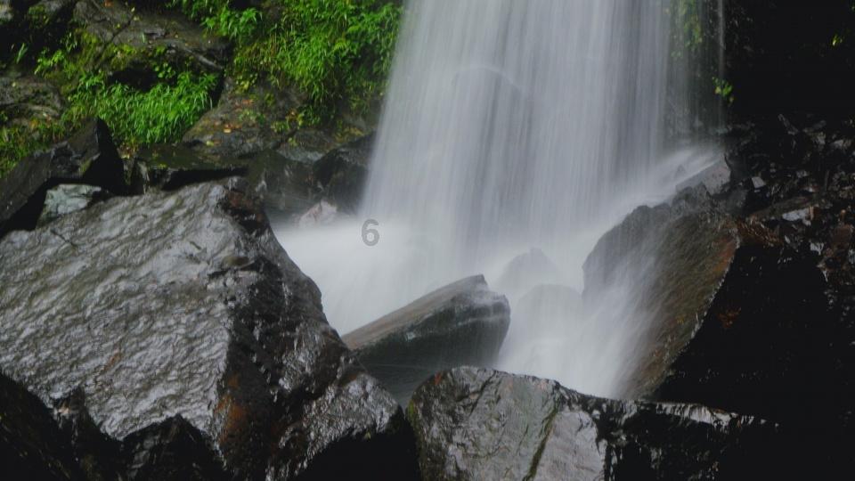 大渔场：海参的热泡法和冷水发泡法