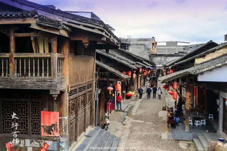 茂密丛林逃生