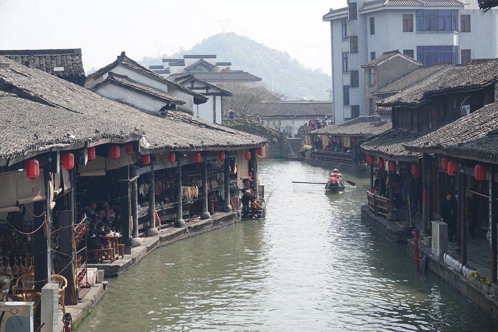 动物帮帮忙保卫家园