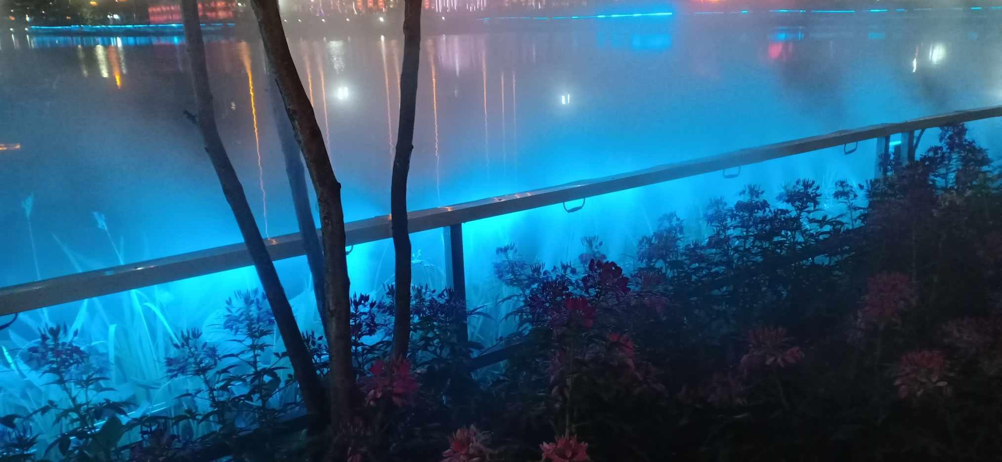 哈尔滨街头又出新“花样”，街头给手机发暖宝宝