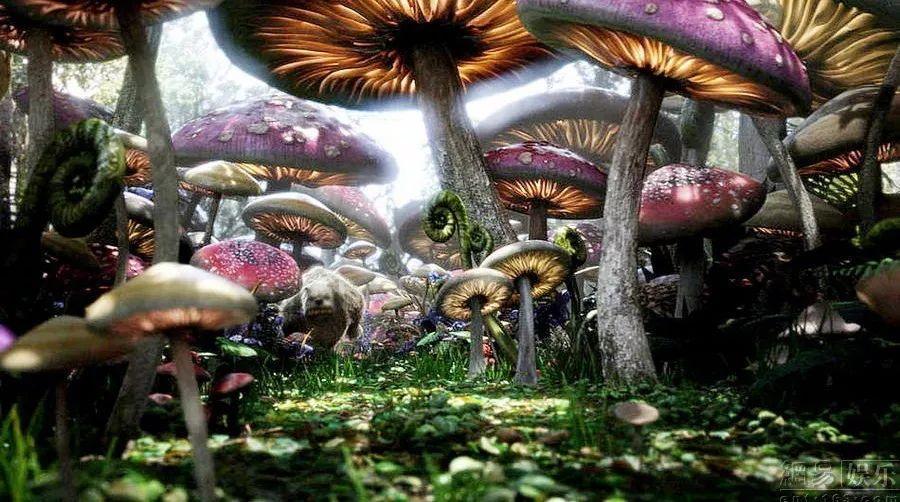 acer进入u盘重装系统看不到硬盘信息游戏画面